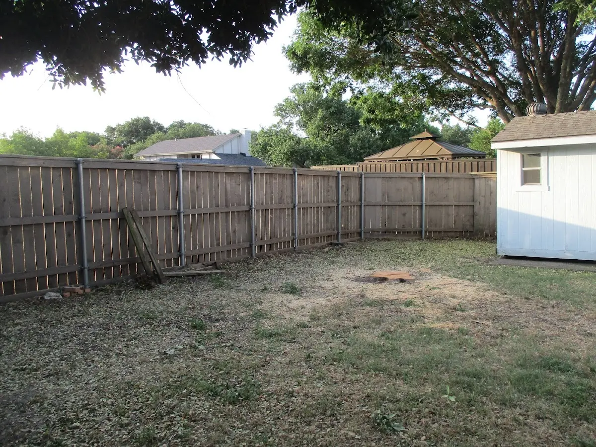 Cleared yard after professional tree removal in Tafton